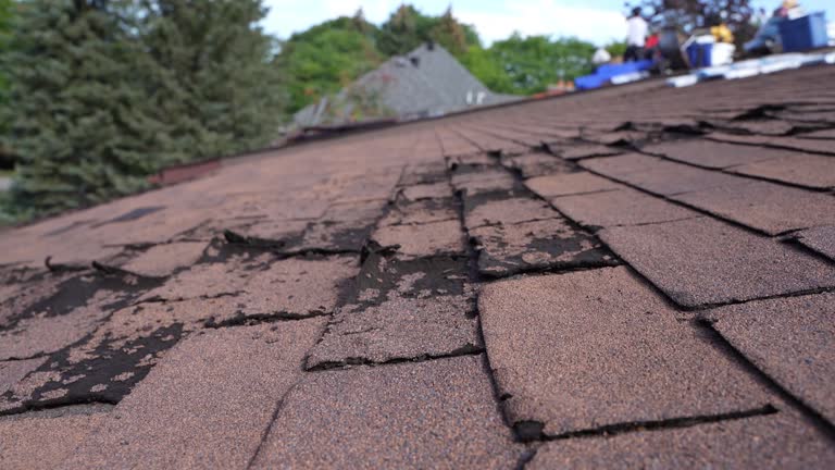 Best Metal Roofing Installation  in Key Center, WA